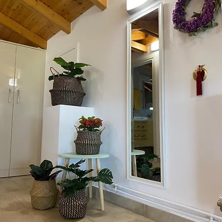 Apartmán Boleri Panoramic View Suite-parking-5g Wifi Nea Artaki